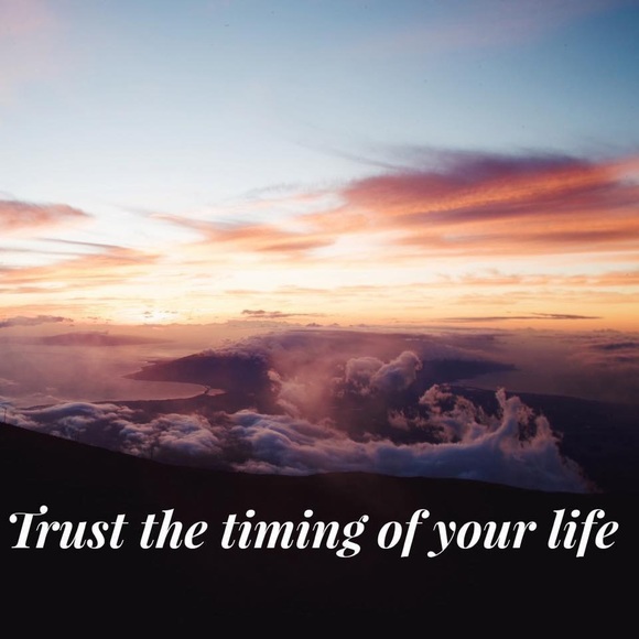 Meet your Posher, Ginger - Picture 5 of 8